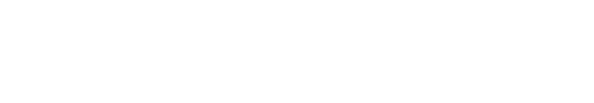 Silver Sponsor