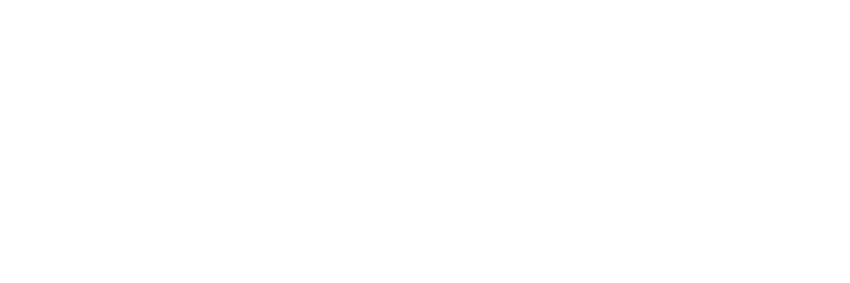 Silver Sponsor
