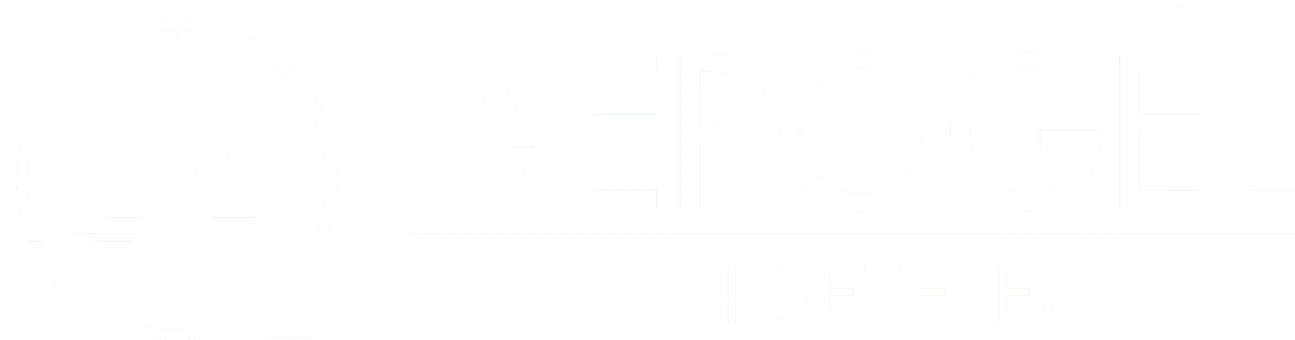 Silver Sponsor
