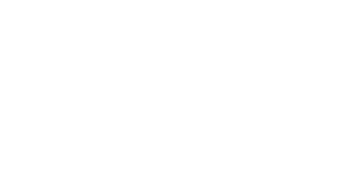 Silver Sponsor