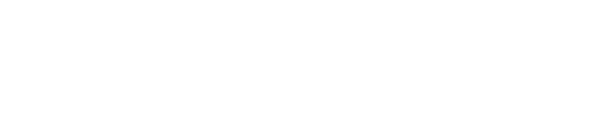 Diamond Sponsor