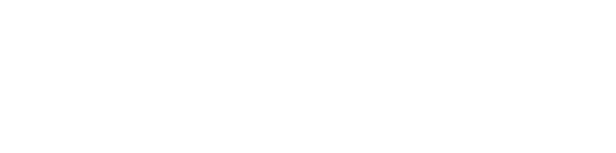 Silver Sponsor