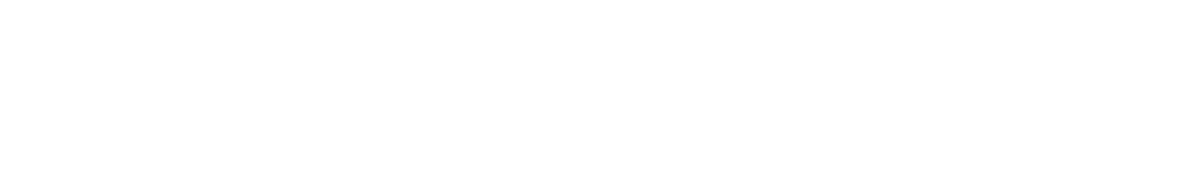 Gold Sponsor