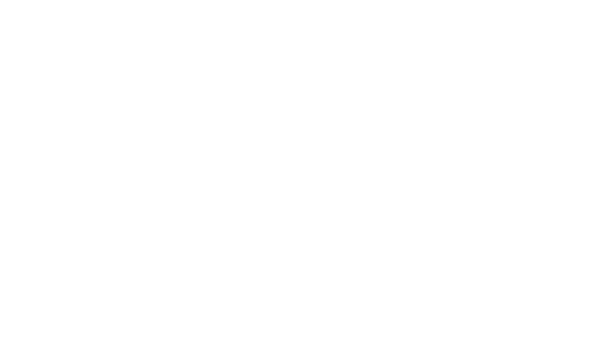 Diamond Sponsor