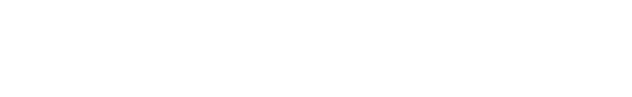 Bronze Sponsor