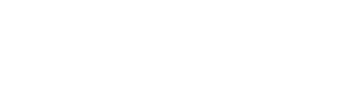 Silver Sponsor
