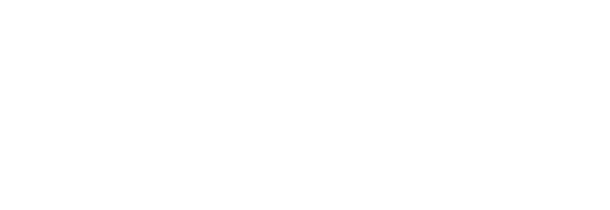 Bronze Sponsor