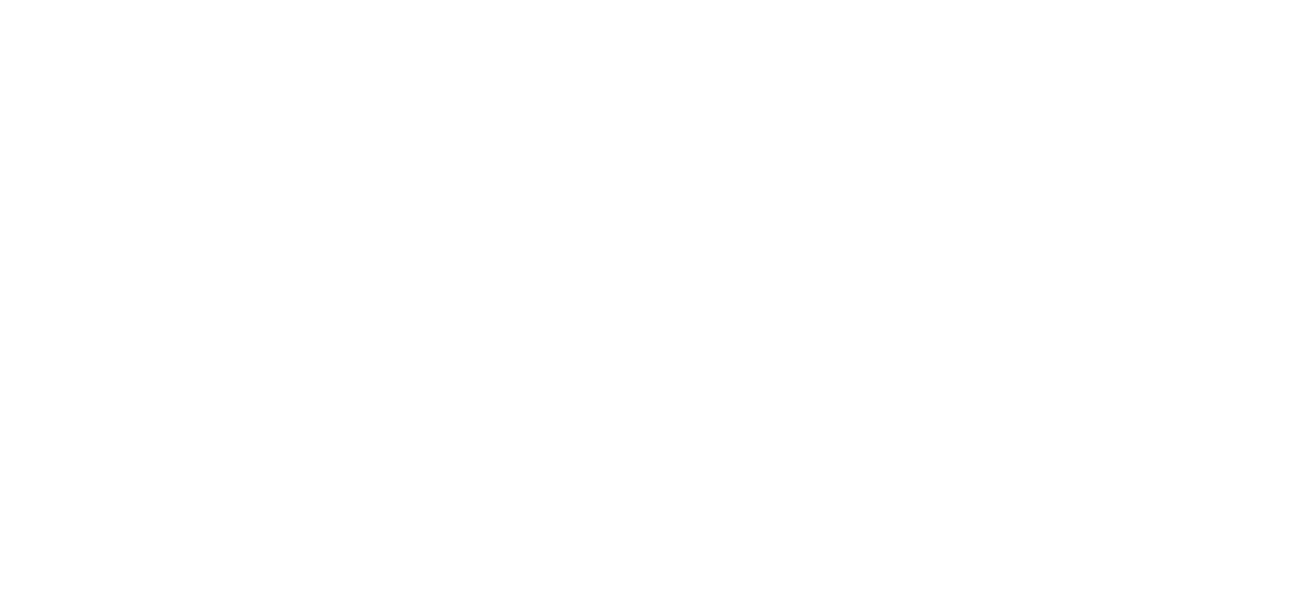 Diamond Sponsor