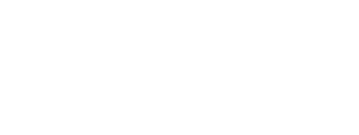 Silver Sponsor