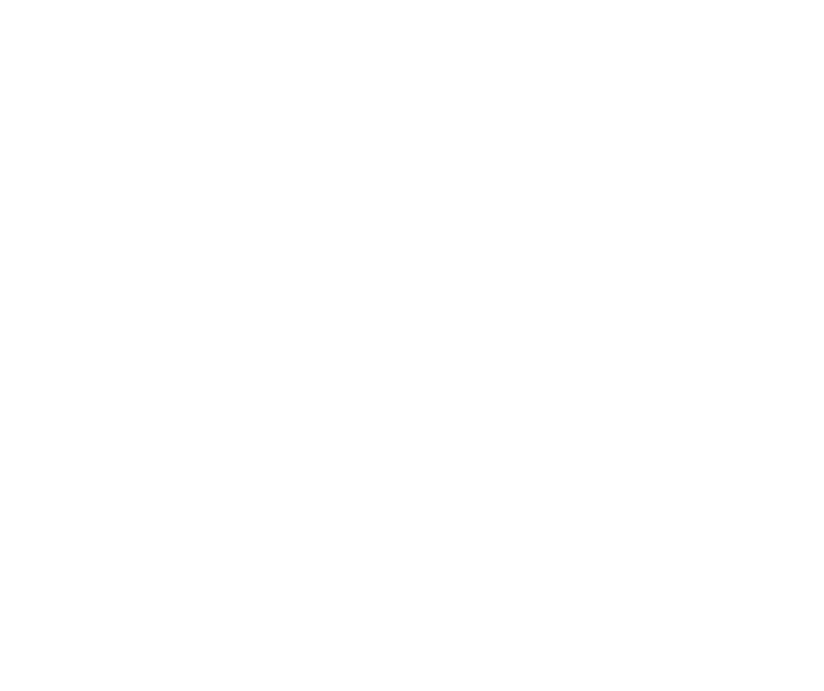 Silver Sponsor