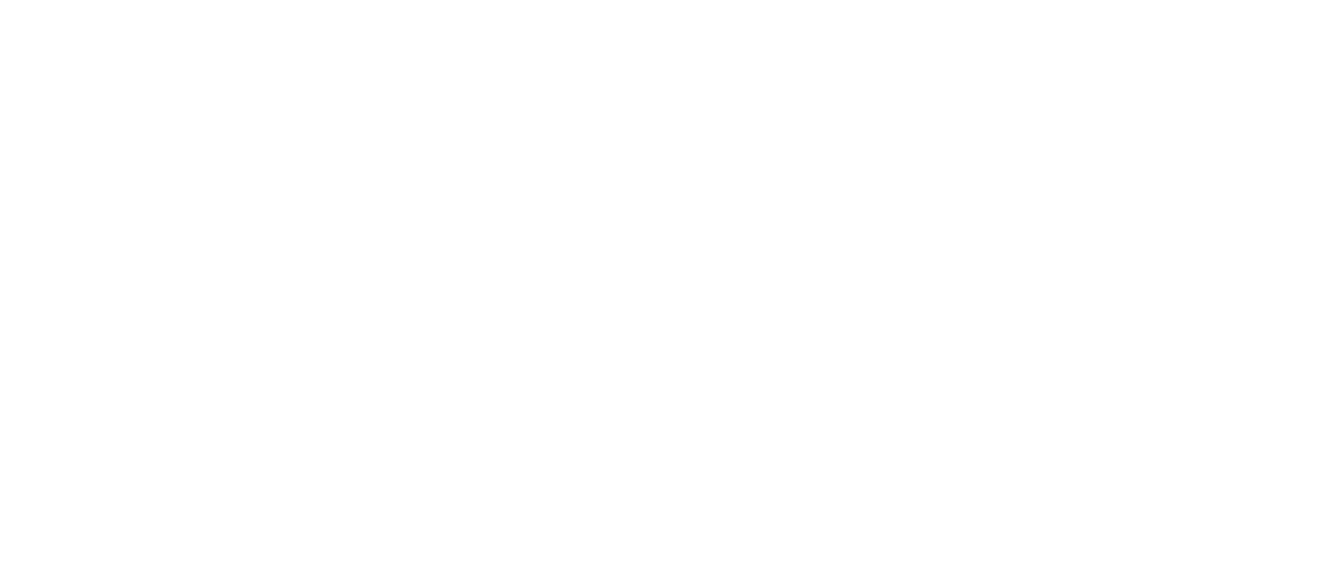 Bronze Sponsor