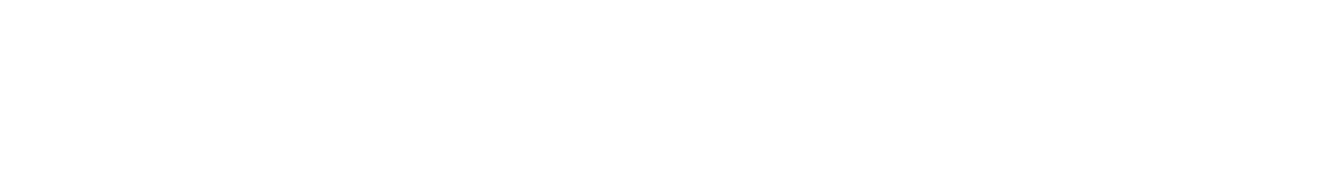 Silver Sponsor