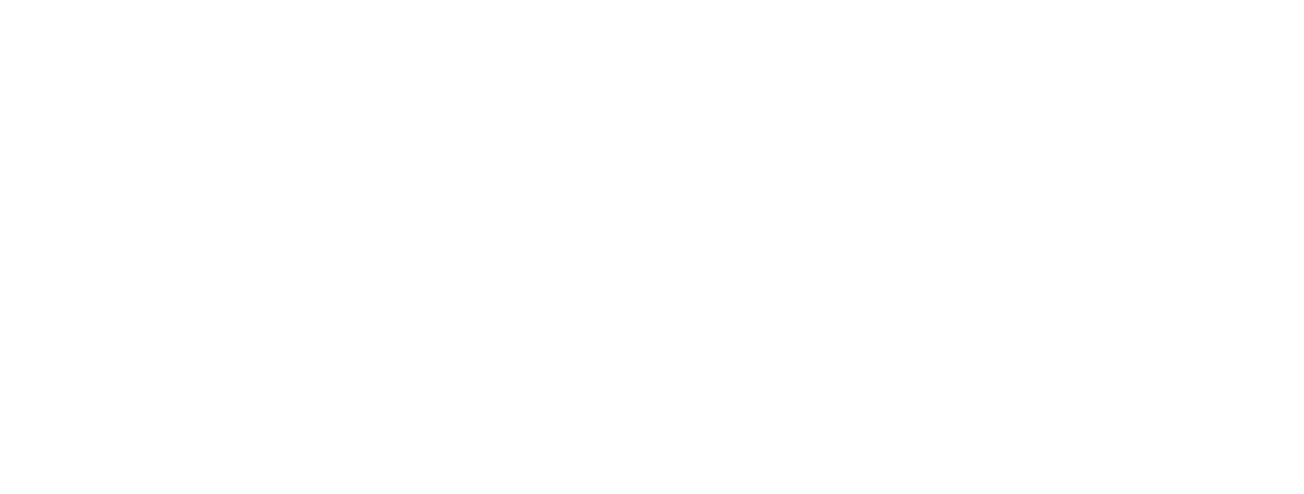 Diamond Sponsor