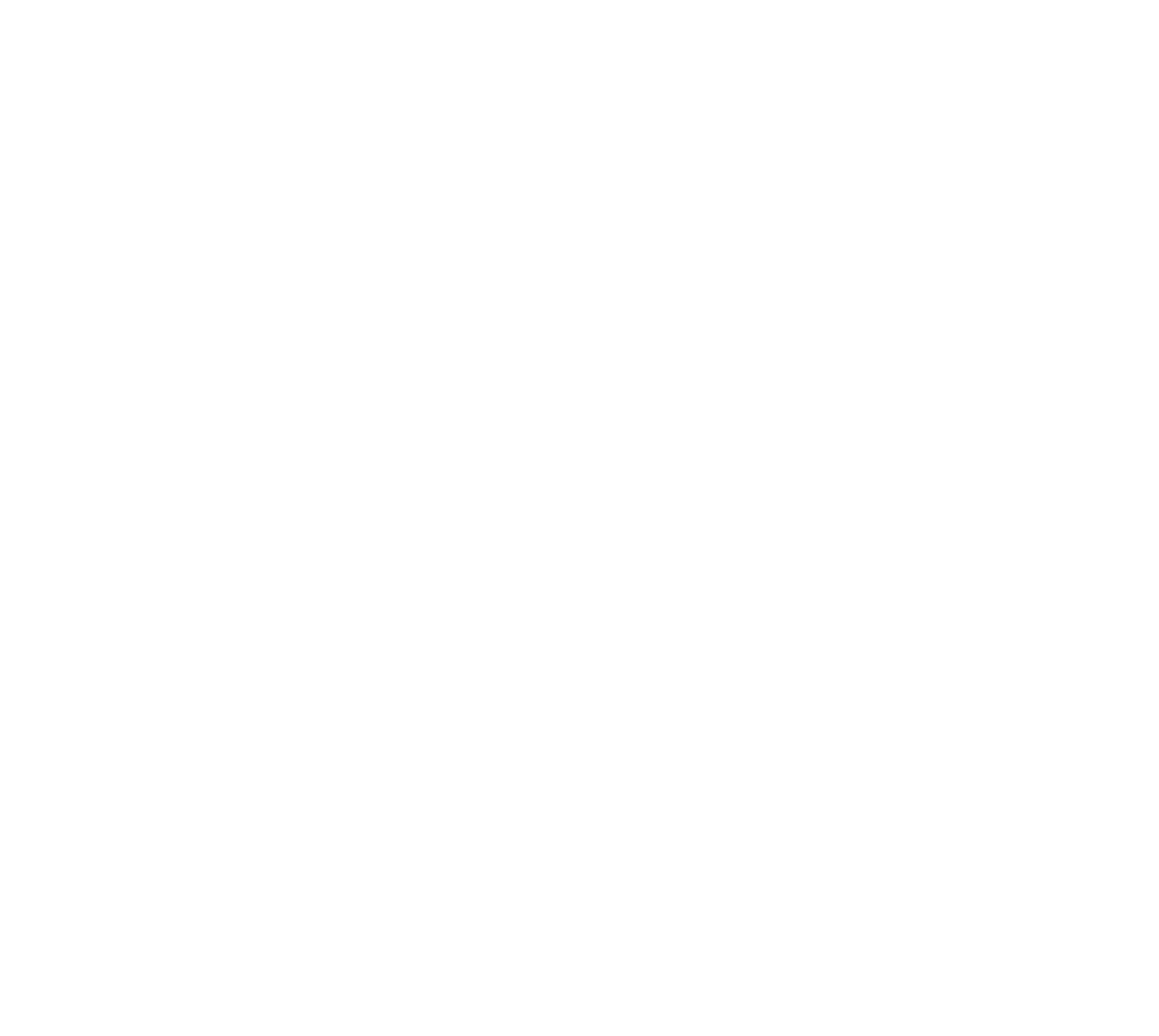 Silver Sponsor