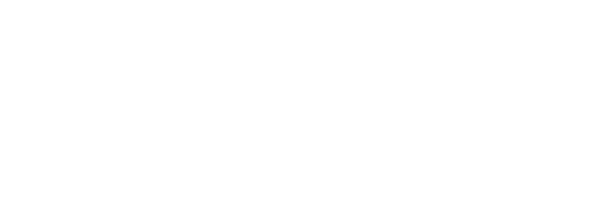 Bronze Sponsor