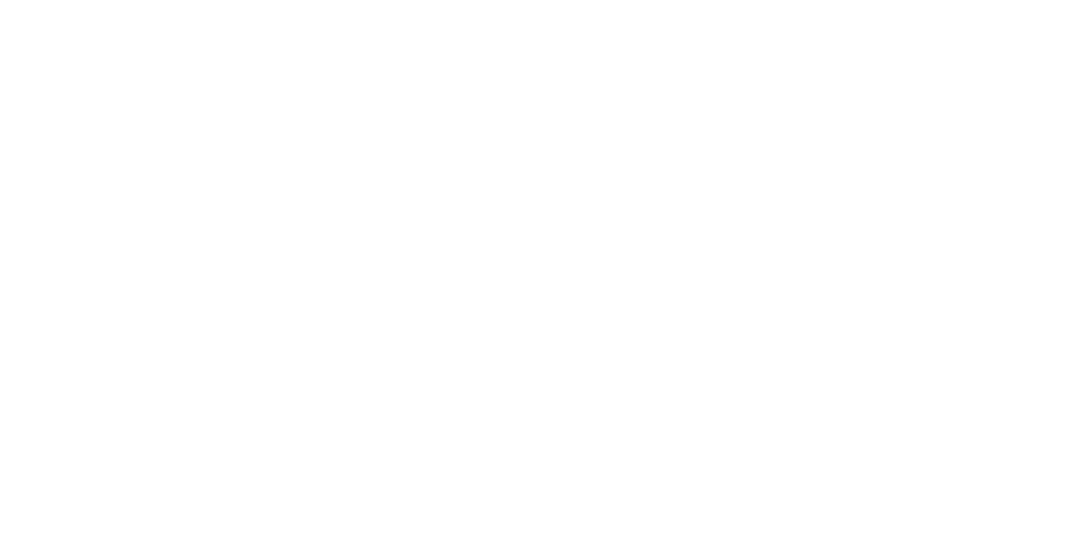 Silver Sponsor