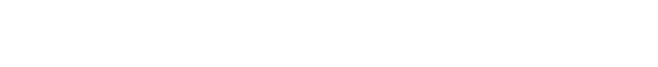 Silver Sponsor