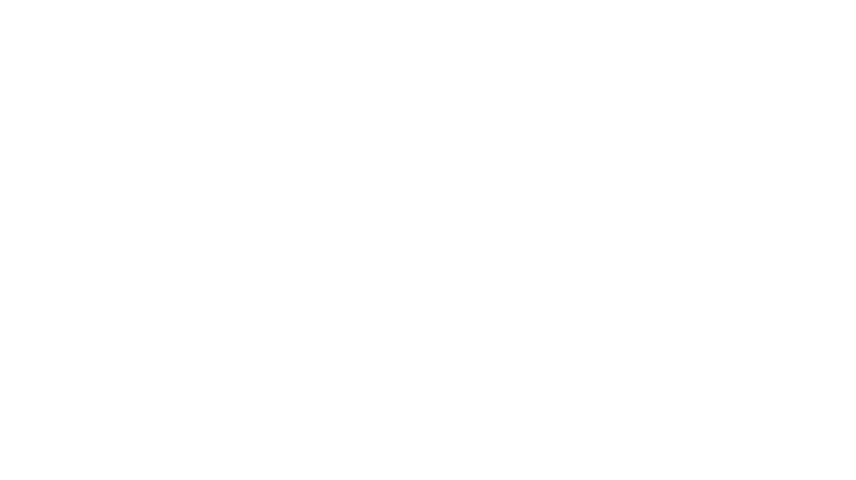Silver Sponsor