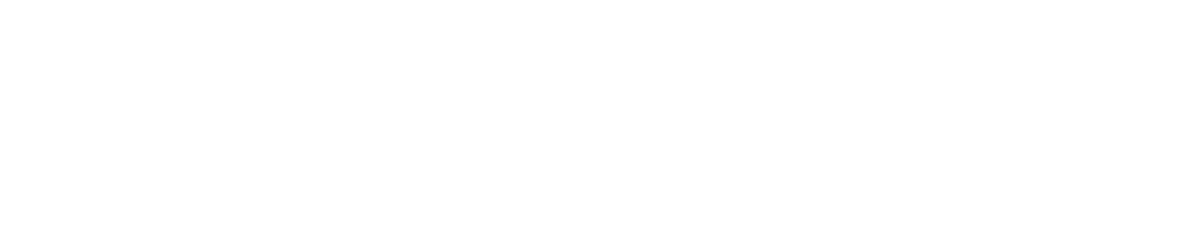 Silver Sponsor