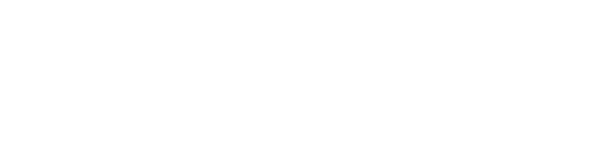 Bronze Sponsor