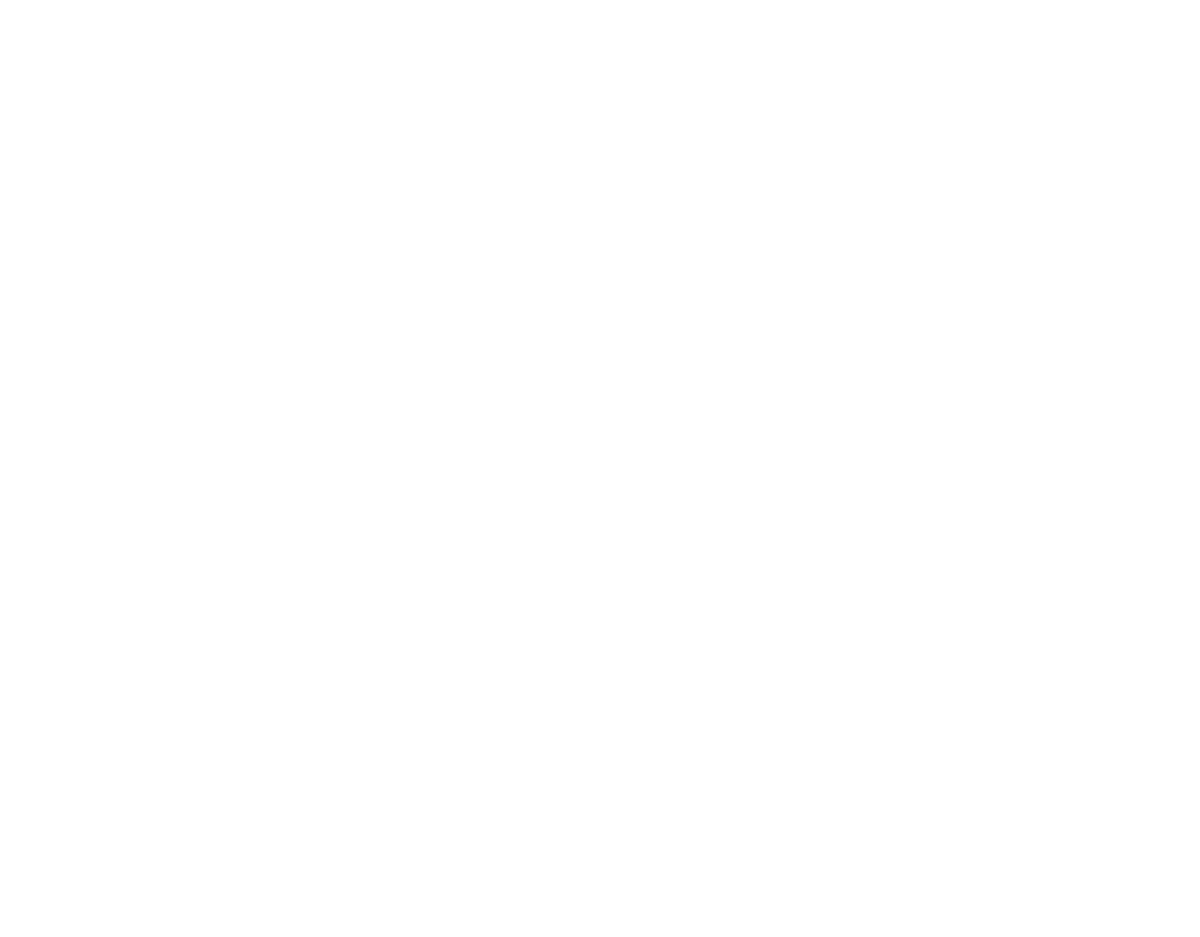Diamond Sponsor