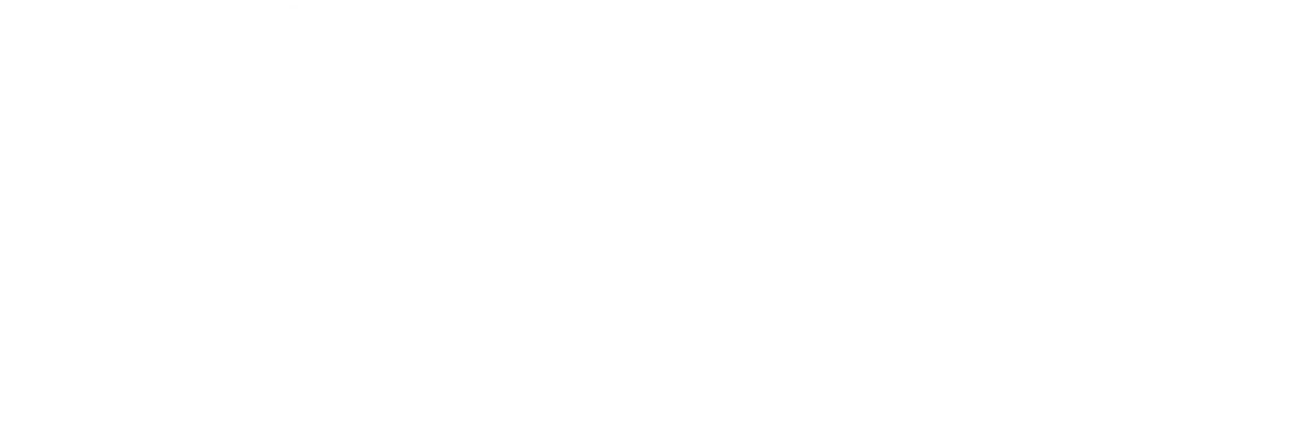 Bronze Sponsor