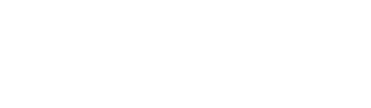 Gold Sponsor