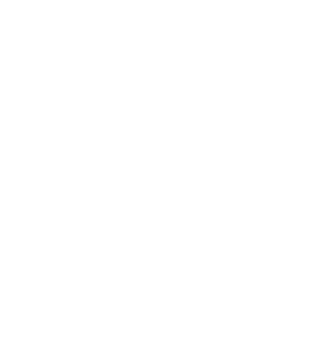 Bronze Sponsor