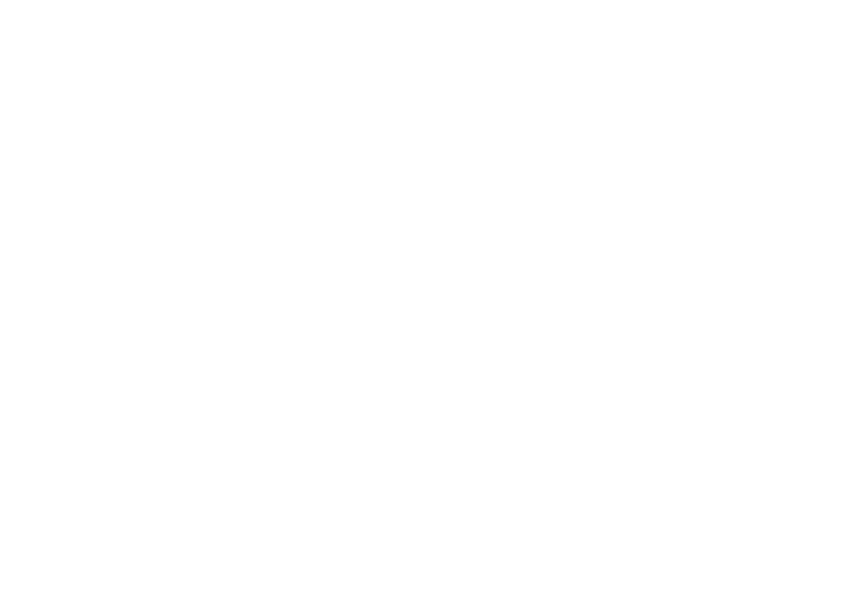 Silver Sponsor