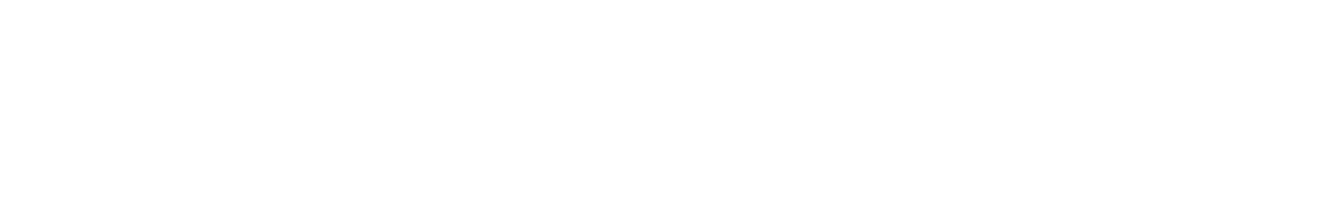 Silver Sponsor
