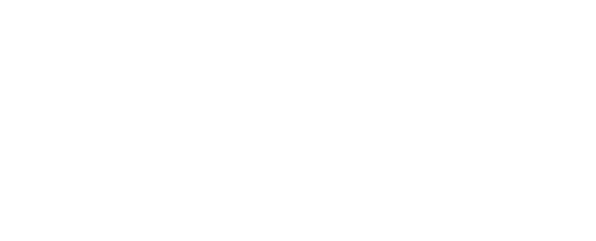 Silver Sponsor