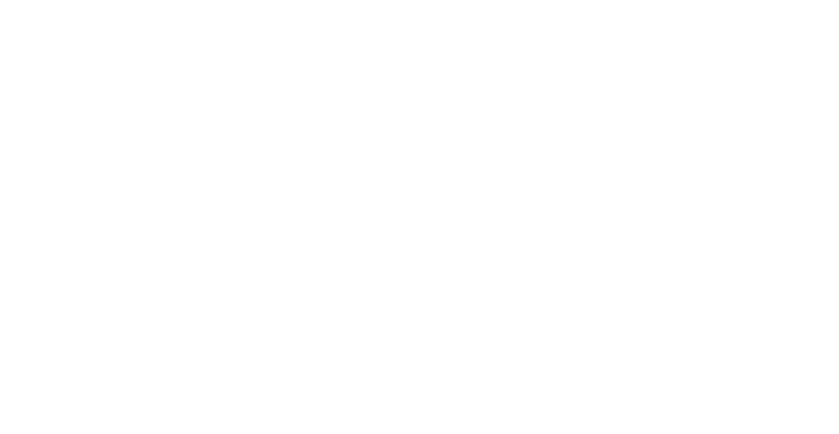 Bronze Sponsor
