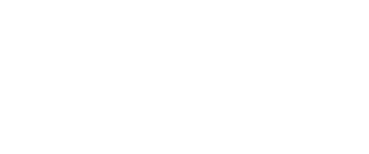 Silver Sponsor