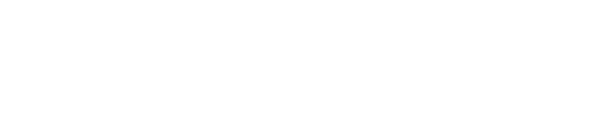 Silver Sponsor
