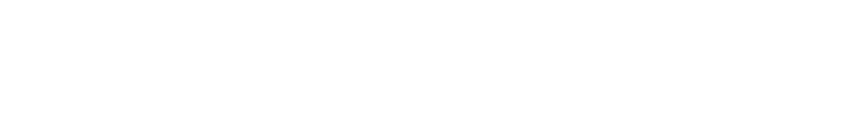 Silver Sponsor