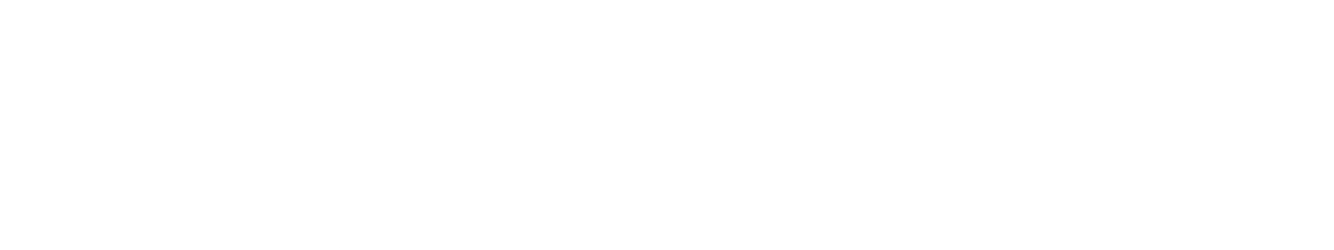Silver Sponsor