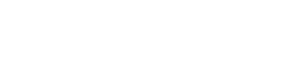 Bronze Sponsor