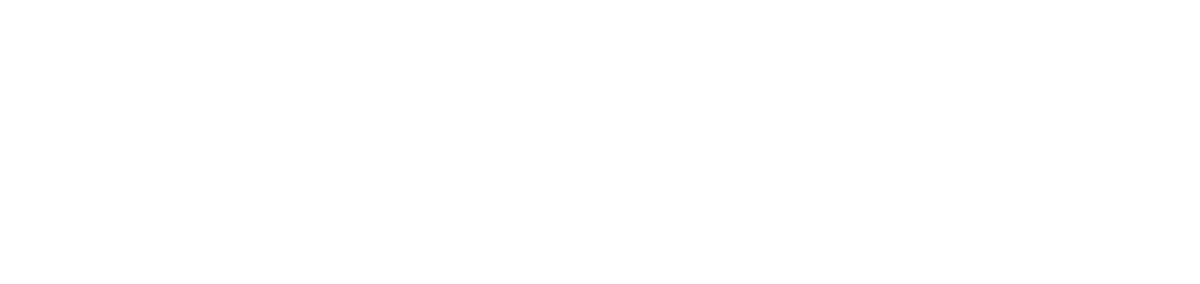 Gold Sponsor