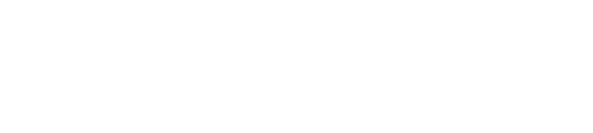 Silver Sponsor