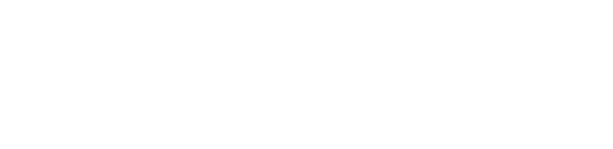 Bronze Sponsor