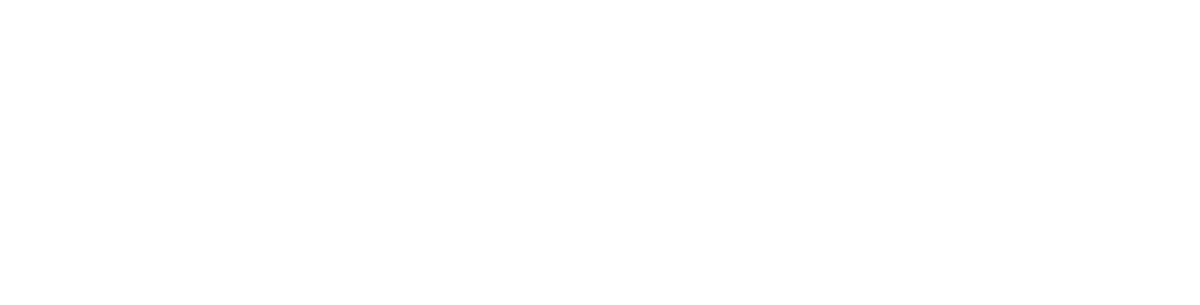 Bronze Sponsor