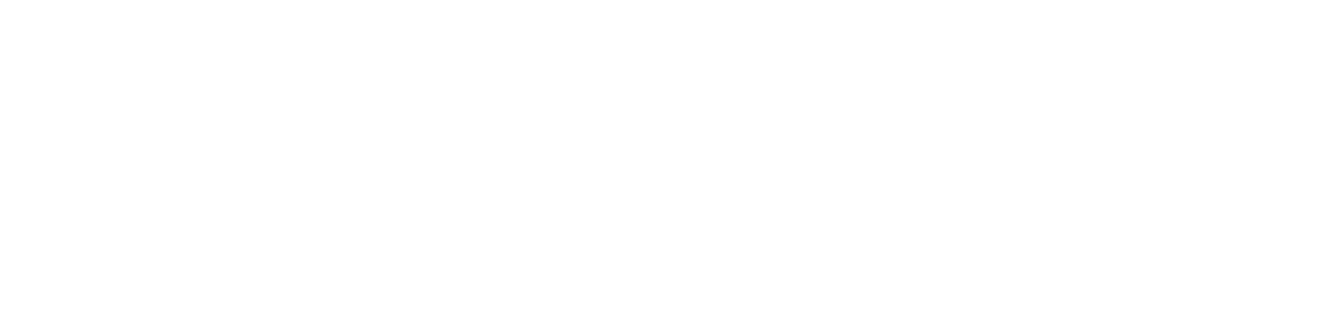Bronze Sponsor