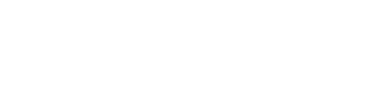 Bronze Sponsor