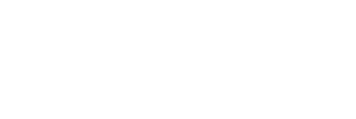 Silver Sponsor