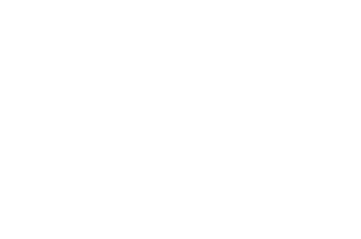 Silver Sponsor