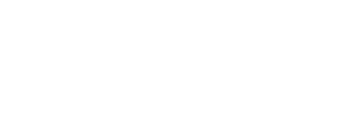 Silver Sponsor