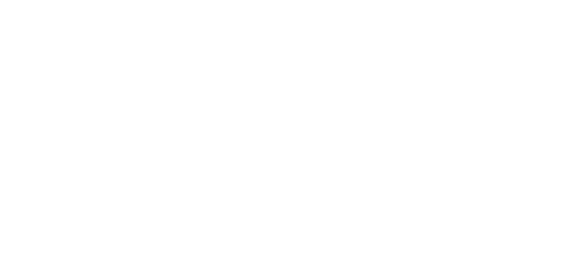 Silver Sponsor