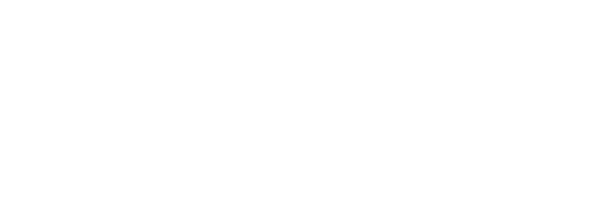 Bronze Sponsor