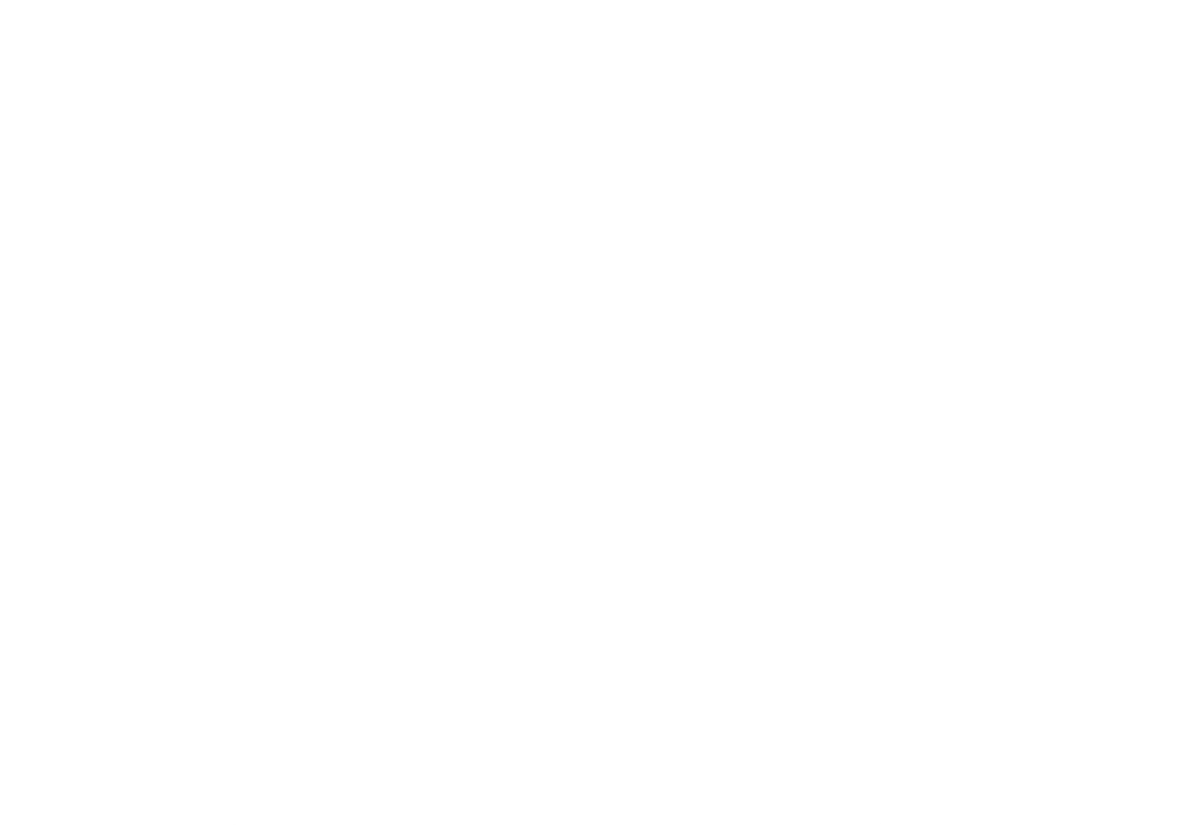 Bronze Sponsor