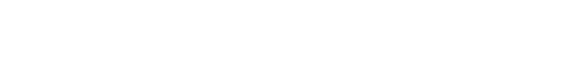 Silver Sponsor